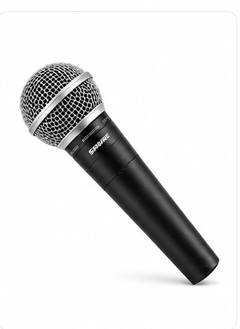 Extra mikrofon för karaoke